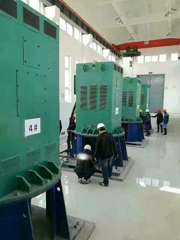 青川某污水处理厂使用我厂的立式高压电机安装现场